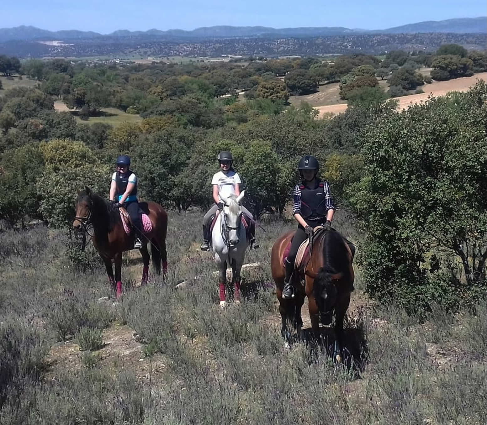 Clases de equitacion en Brunete