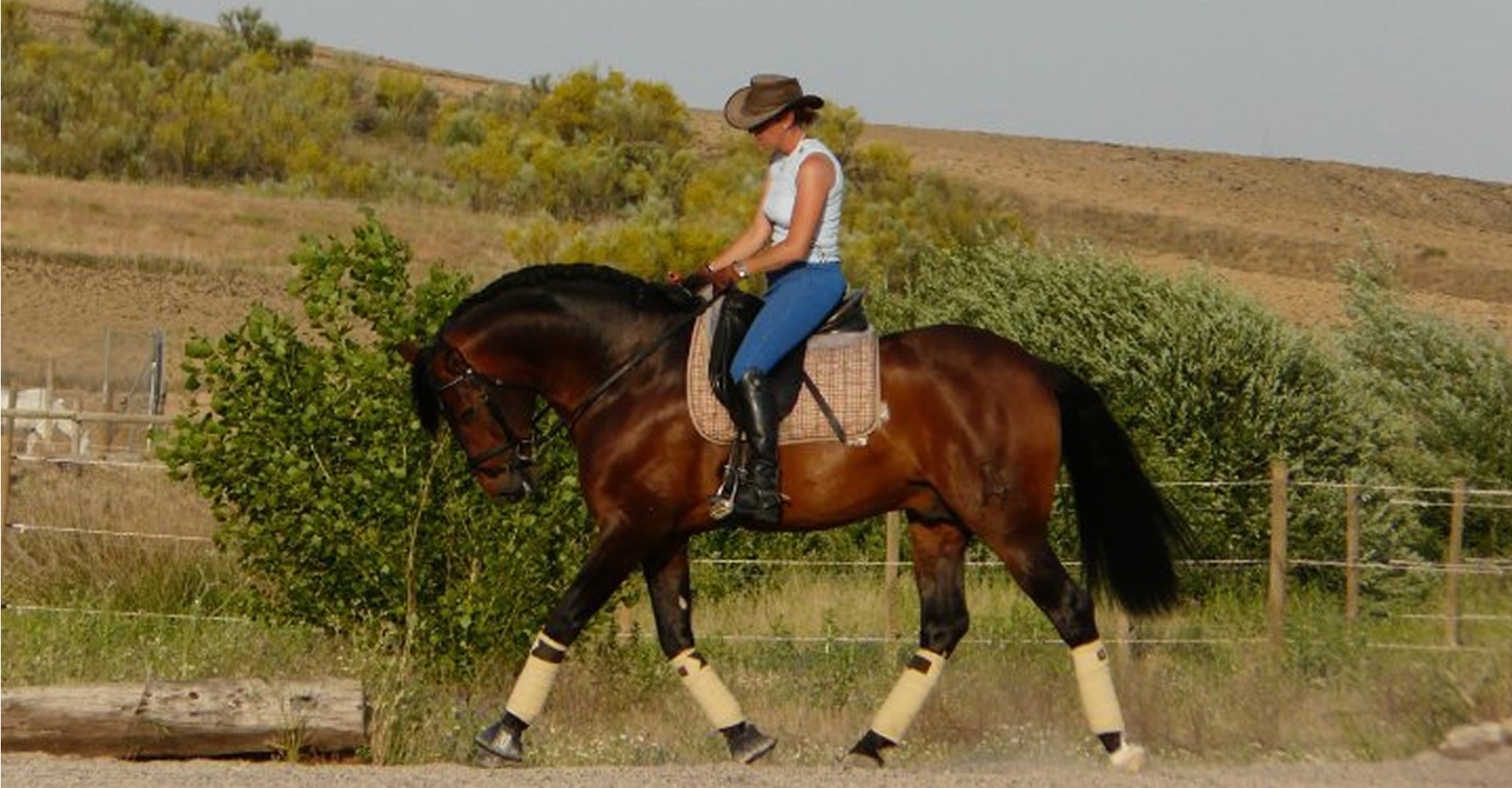 Montar a caballo Brunete